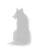 about sealgar image